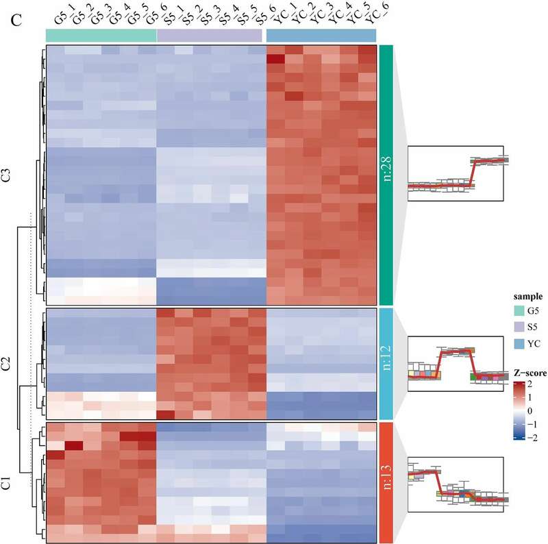 雅安藏茶渥堆工艺对比:干坯与湿坯方法品质差异解析 brand_alt_mark
