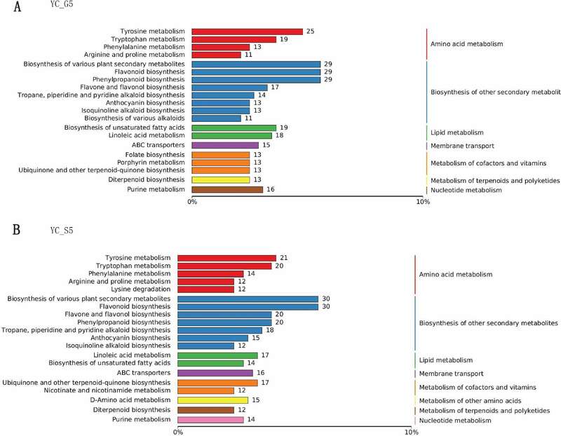 雅安藏茶渥堆工艺对比:干坯与湿坯方法品质差异解析 brand_alt_mark
