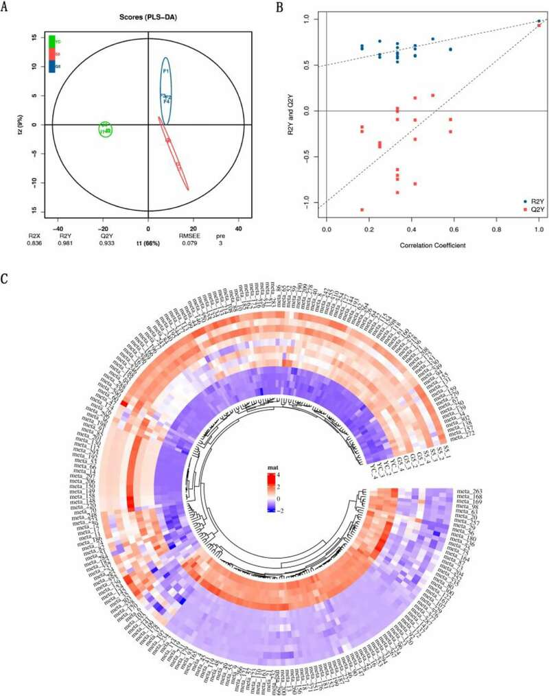 雅安藏茶渥堆工艺对比:干坯与湿坯方法品质差异解析 brand_alt_mark
