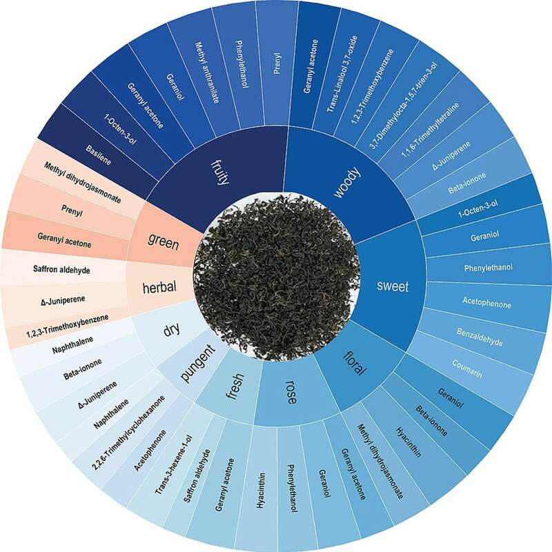 雅安藏茶渥堆工艺对比:干坯与湿坯方法品质差异解析 brand_alt_mark