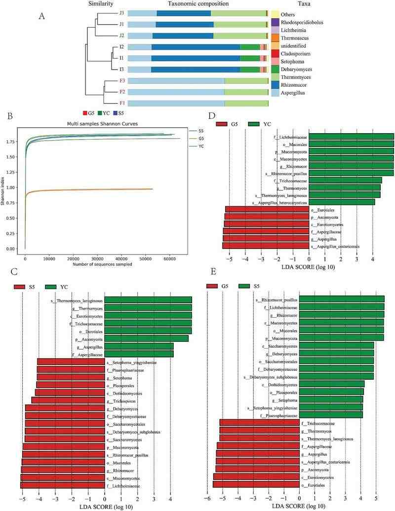 雅安藏茶渥堆工艺对比:干坯与湿坯方法品质差异解析 brand_alt_mark