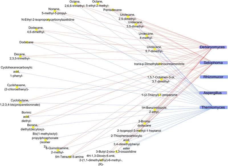 雅安藏茶渥堆工艺对比:干坯与湿坯方法品质差异解析 brand_alt_mark