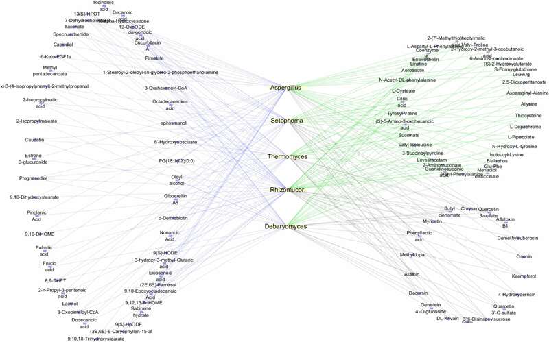 雅安藏茶渥堆工艺对比:干坯与湿坯方法品质差异解析 brand_alt_mark