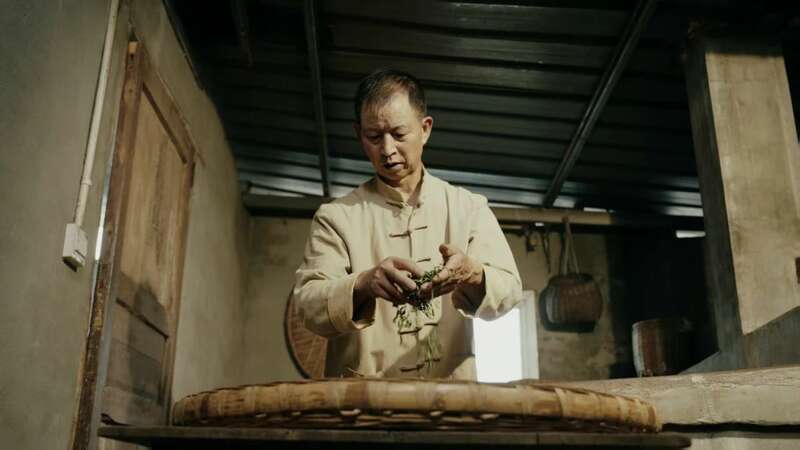 四川名山区新增3名省级非遗传承人 蒙山茶制作技艺获保护 brand_alt_mark