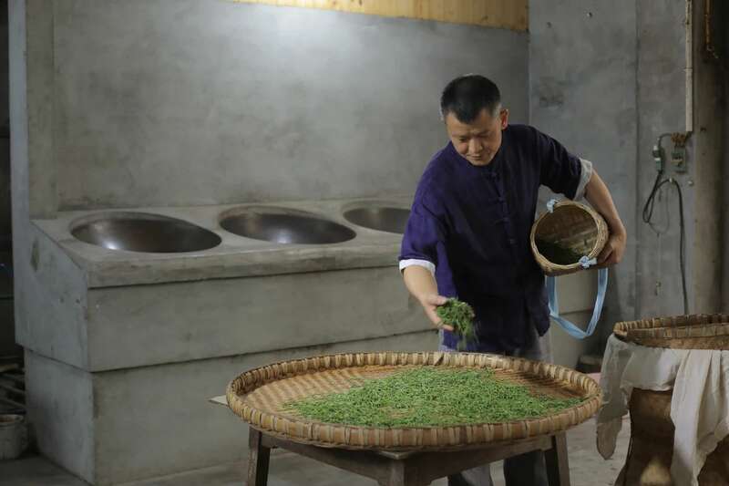 四川名山区新增3名省级非遗传承人 蒙山茶制作技艺获保护 brand_alt_mark