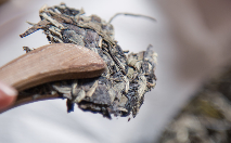 白牡丹茶.png 白牡丹茶.png