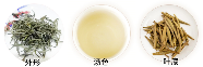 小白银针品质特征.png 小白银针品质特征.png