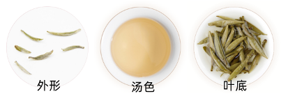 政和白毫银针外形.png 政和白毫银针外形.png