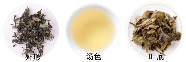 松溪小白茶品质特征.png 松溪小白茶品质特征.png