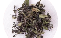 松溪小白茶.png 松溪小白茶.png