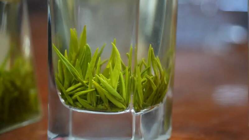 峨眉问春抢占春茶市场先机,犍为县茶农喜获增收致富金叶子 brand_alt_mark