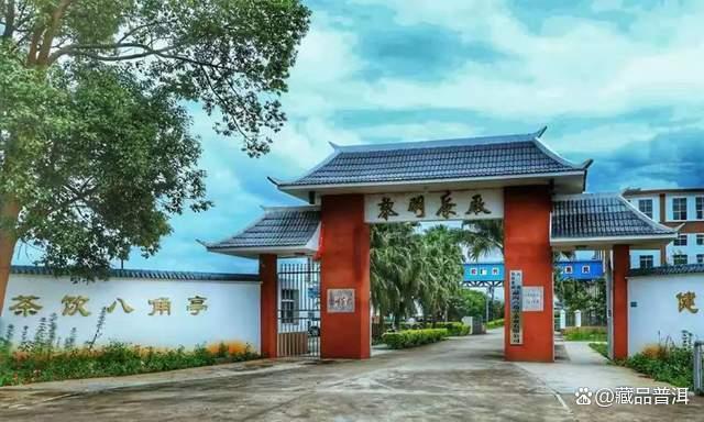 2003年黎明茶厂勐海早春乔木圆茶深度解析