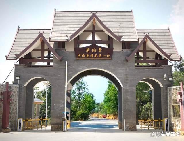 陈升号2012年首批金班章深度解析，班章茶品质标杆之作