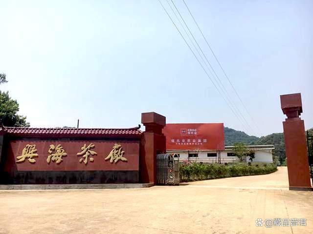 2003年景迈生态茶301与302版本区别解析,一字之差行情天壤之别 2003年景迈生态茶301与302版本区别解析,一字之差行情天壤之别