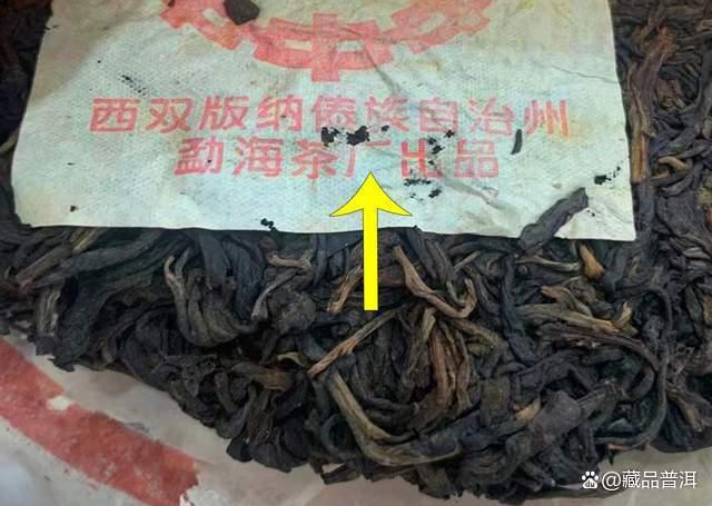 97水蓝印普洱茶全面解析：防伪辨识与品质特征