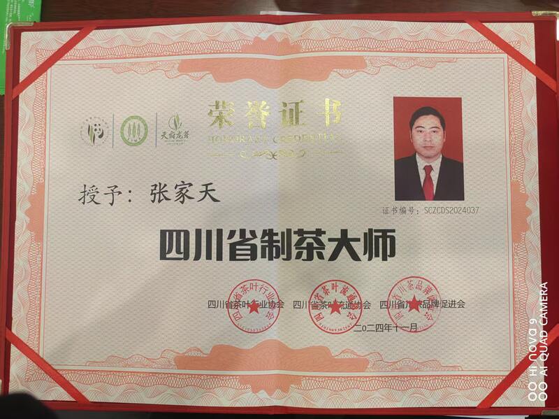 四川茶业经济年会召开 平昌县斩获多项荣誉推动产业发展 brand_alt_mark