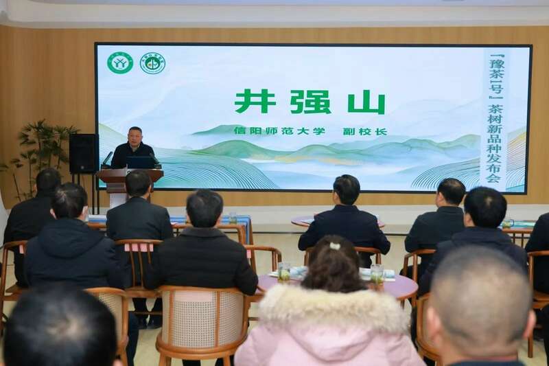 河南省首个国家级茶树新品种"豫茶1号"正式发布 brand_alt_mark