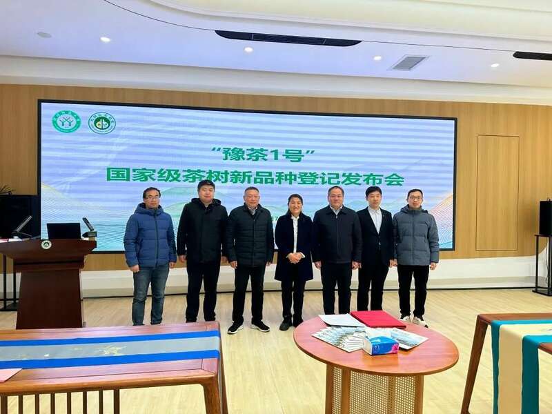河南省首个国家级茶树新品种"豫茶1号"正式发布 brand_alt_mark