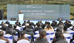 早春茶产区新年首秀:海南贵州广西创新营销策略解析 brand_alt_mark