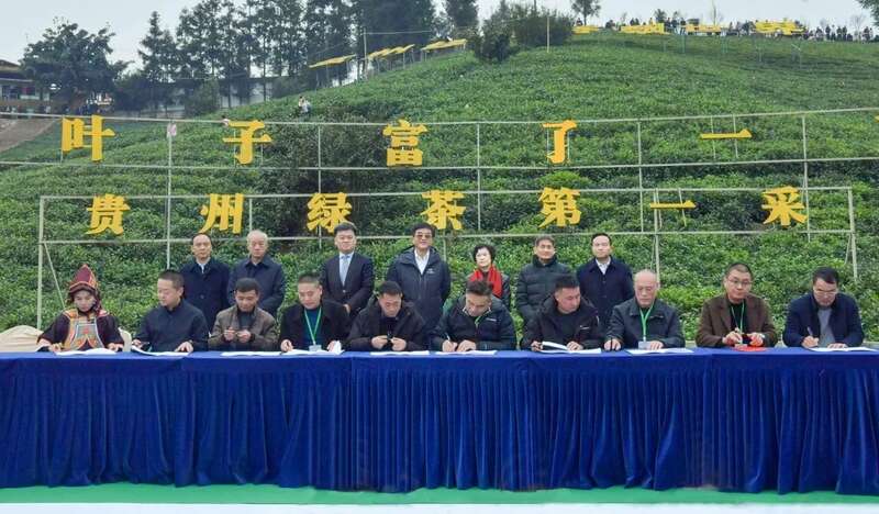 早春茶产区新年首秀:海南贵州广西创新营销策略解析 brand_alt_mark