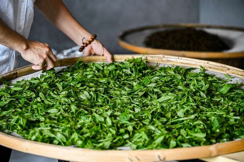 小品牌时代来临,茶产业发展新趋势与品牌构建策略 brand_alt_mark