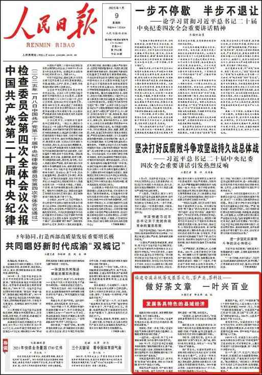 安溪县统筹三茶发展理念实现一叶兴百业产业升级 brand_alt_mark