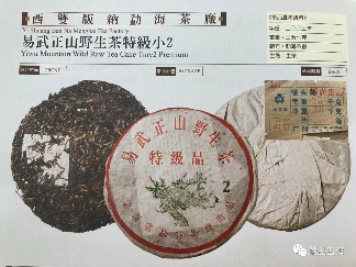 绿大树普洱茶全解析:四大系列及2003年易武正山版本鉴别指南 绿大树普洱茶全解析:四大系列及2003年易武正山版本鉴别指南