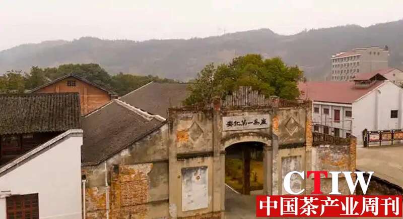 安化黑茶产业集群年产值超135亿元 数字化转型推动传统产业升级 brand_alt_mark