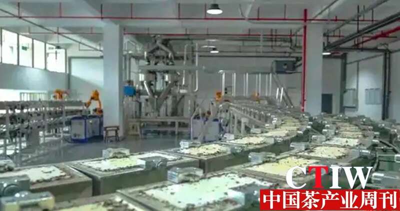 安化黑茶产业集群年产值超135亿元 数字化转型推动传统产业升级 brand_alt_mark