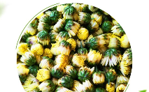 菊花茶.png 菊花茶.png