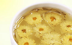 胎菊品茗指南.png 胎菊品茗指南.png