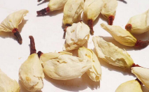 白兰花茶.png 白兰花茶.png