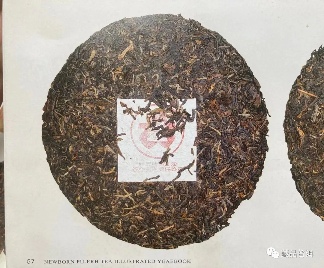 2000年无R红大益普洱茶全面解析：7542 TSE YSE版鉴别要点