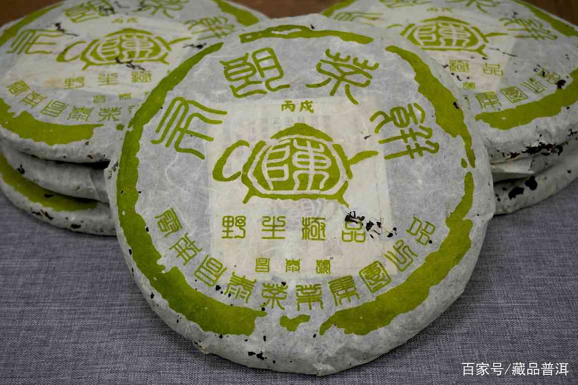 2006年昌泰号茶壶陈布朗青饼深度评测，15年陈化野生古树茶品质解析