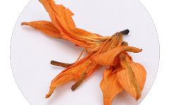 百合花茶.png 百合花茶.png