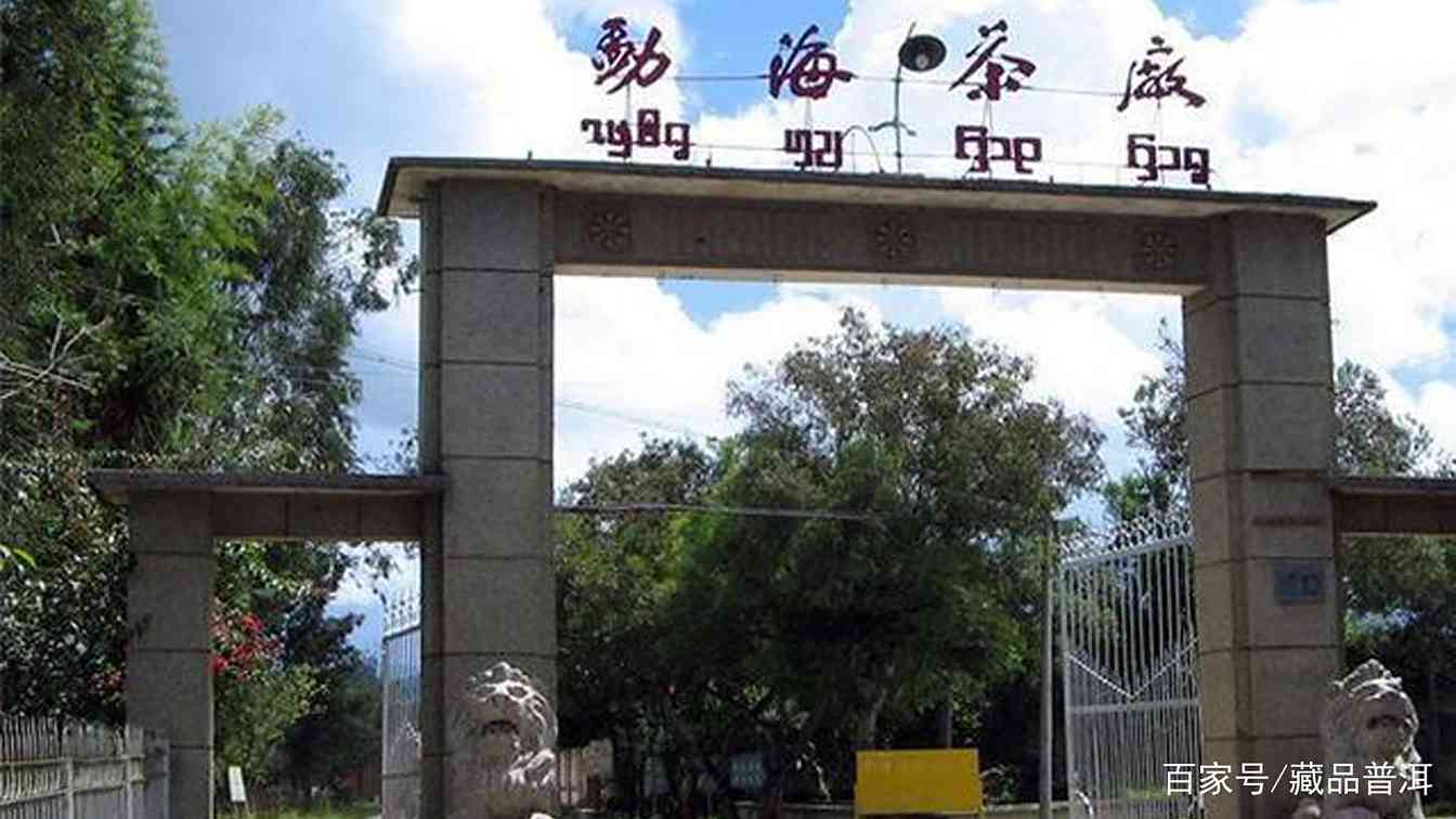 普洱茶品牌哪家强？传统名牌与新兴品牌选购指南