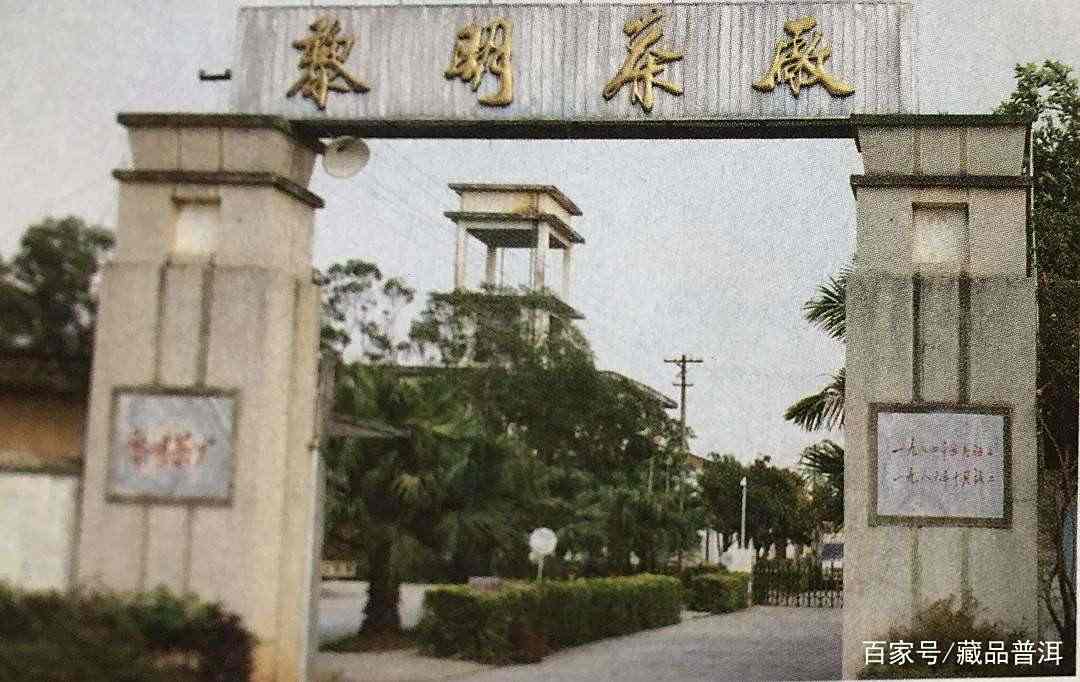 八角亭普洱茶经典老茶推荐 勐海布朗山茶品质之选