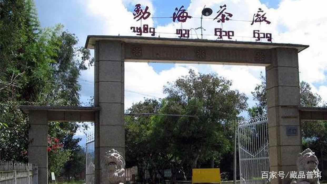 普洱茶选购指南：新手如何选择合适渠道买好茶