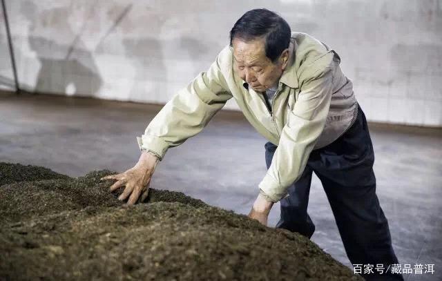 2004年老同志熟茶品鉴指南：熟茶之父经典之作深度评测