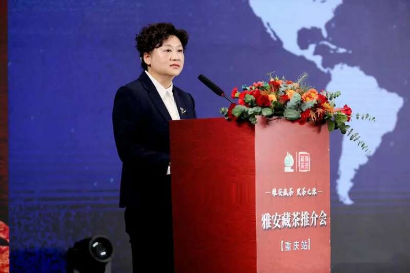 雅安藏茶重庆推介会举行 推动成渝地区产业融合发展 brand_alt_mark