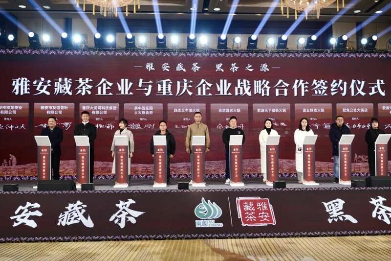 雅安藏茶重庆推介会举行 推动成渝地区产业融合发展 brand_alt_mark