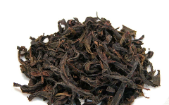 水金龟.png 水金龟.png