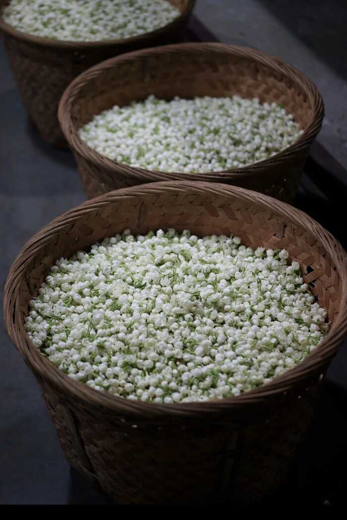 窨花茶：从“鄙视链底端”到心头好，凭的是什么？