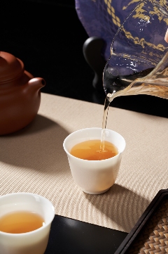 大益盘锦璇金茶礼首发 生茶熟茶双品鉴赏 brand_alt_mark