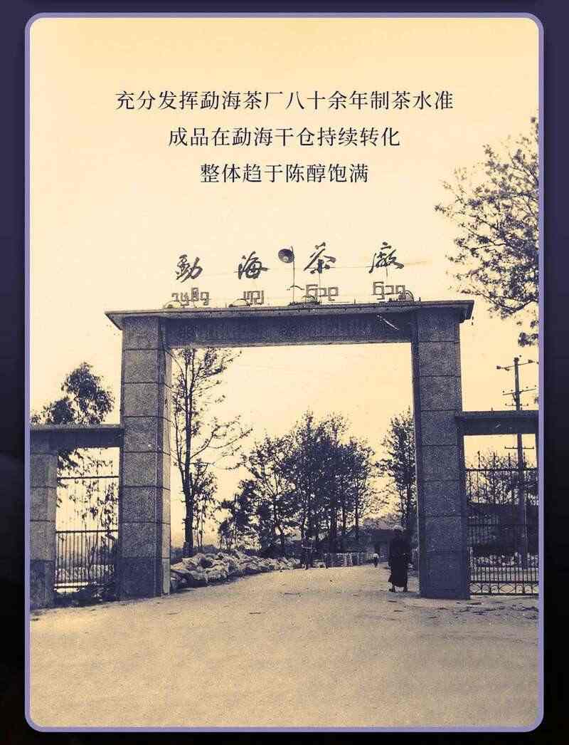 大益盘锦璇金茶礼首发 生茶熟茶双品鉴赏 brand_alt_mark