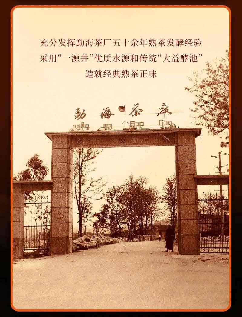 大益盘锦璇金茶礼首发 生茶熟茶双品鉴赏 brand_alt_mark