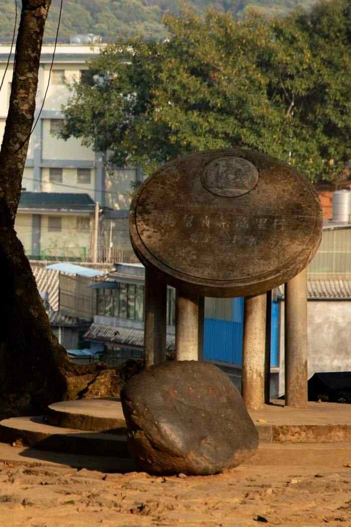 为什么普洱茶多为紧压茶？