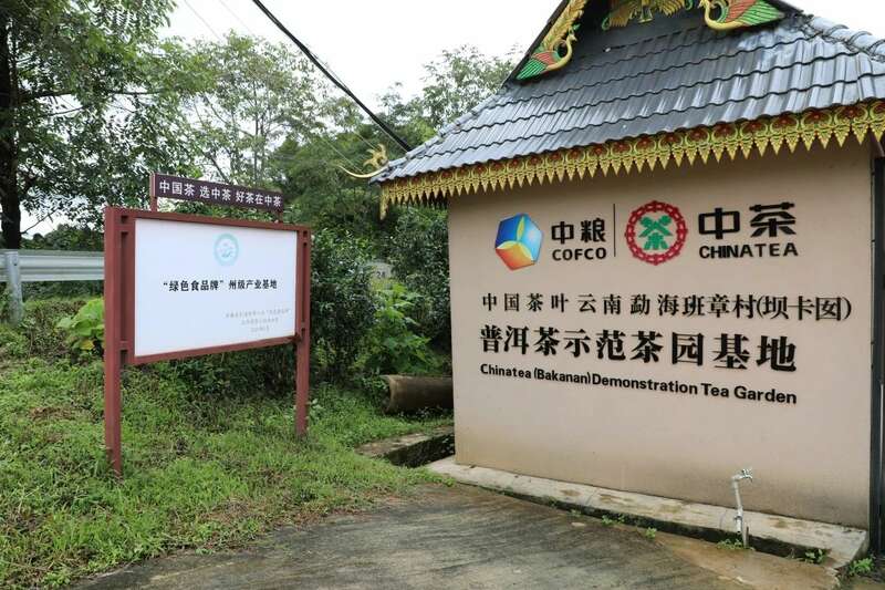 科技赋能茶产业标准化生产引领新式茶饮发展趋势 brand_alt_mark