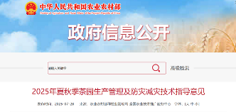 夏秋季茶园生产管理及防灾减灾技术指导意见 农业农村部发布2025年夏秋季茶园生产管理及防灾减灾技术指导意见