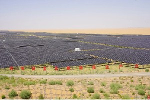 光伏茶园技术应用与茶产业创新发展研究进展 光伏茶园技术应用与茶产业创新发展研究进展